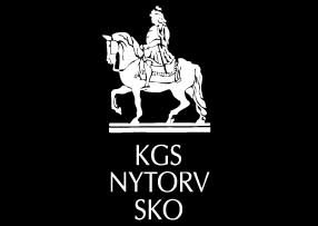 Kgs Nytorv Sko